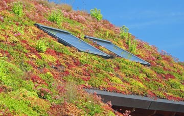 North Deighton living roof systems